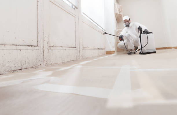24/7 Emergency Attic Mold Remediation experts in Glencoe, FL